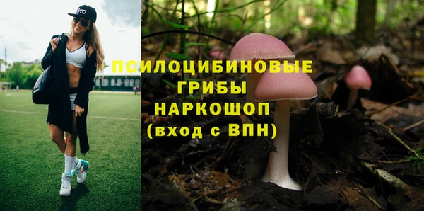 прущий лед Семилуки