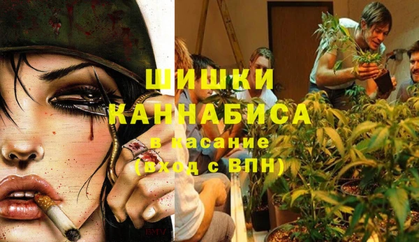 гидра Семикаракорск